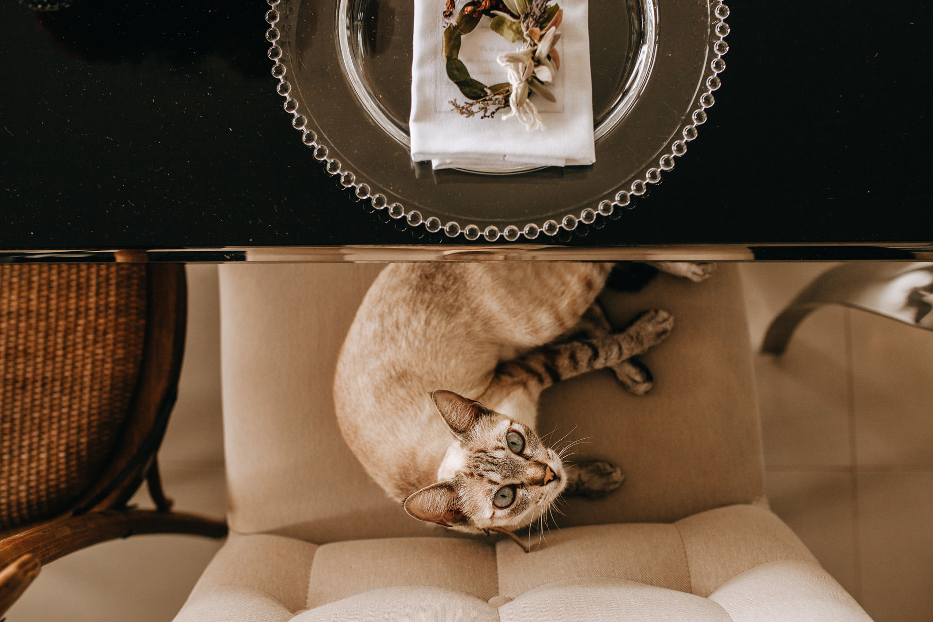 Foto NÃO PRECISAMOS DE UM CASAMENTO GRANDE PARA SE TORNAR UM GRANDE CASAMENTO Foto NÃO PRECISAMOS DE UM CASAMENTO GRANDE PARA SE TORNAR UM GRANDE CASAMENTO - Imagem 6